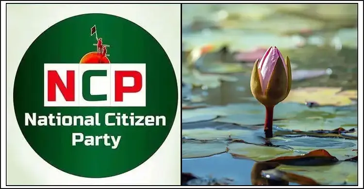 এনসিপির লোগো ও শাপলা কলি